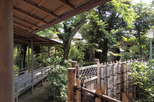 日本庭園観賞・・・。_a0214329_17164636.jpg