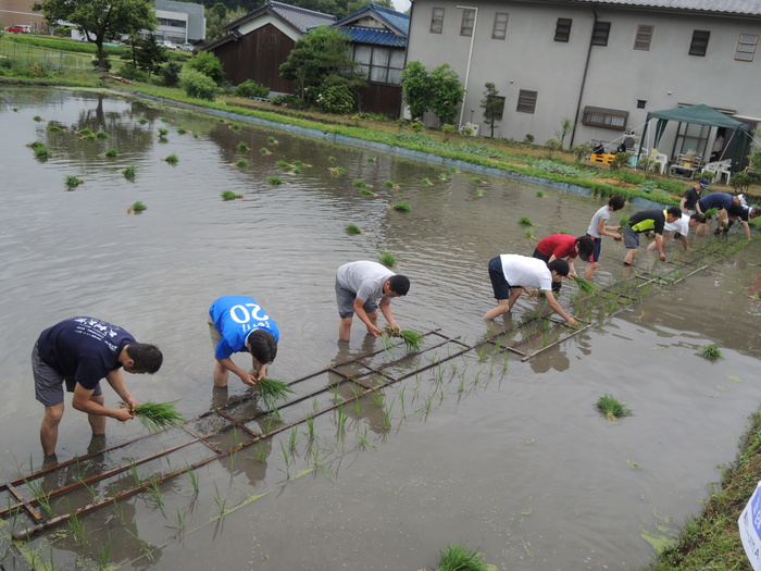 田植え１_a0156636_185642100.jpg