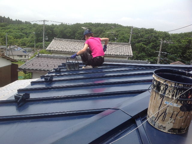 屋根とマンションと賃貸物件_f0031037_2204384.jpg