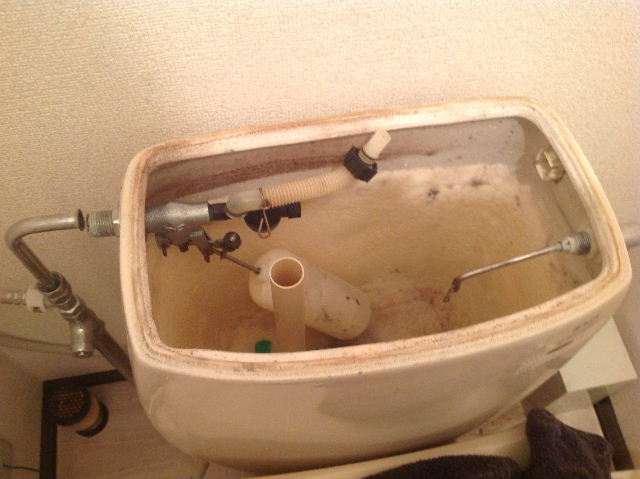 緊急工事・・・トイレ修理_f0031037_2294384.jpg