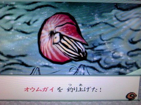 大神 海水魚を釣ろう 後編 カムイ編 今日はドコにマーキング