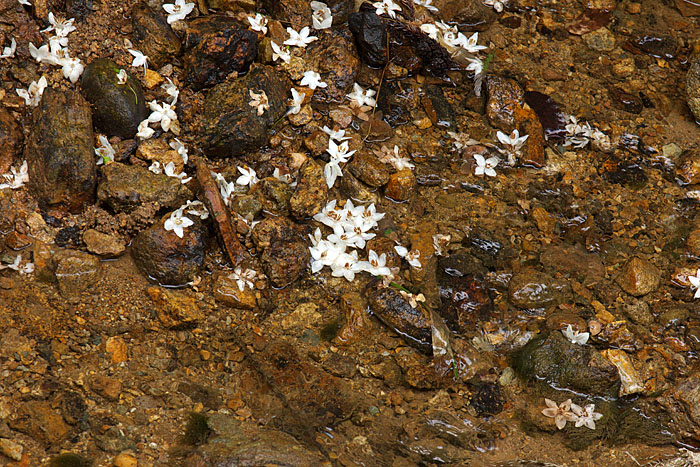 c0067040_2330315.jpg