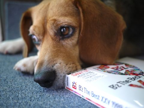 飼い主・一日陶芸_c0190940_13414020.jpg