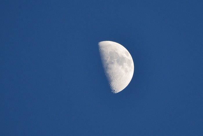 b0288942_233061.jpg