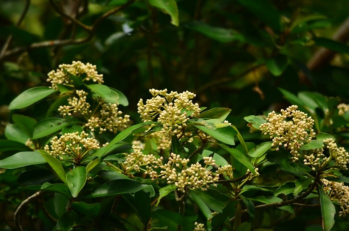 b0288942_921330.jpg