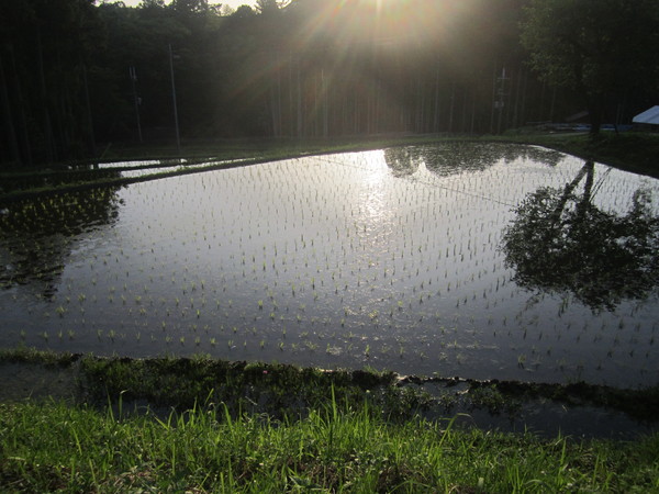 b0132746_01467.jpg