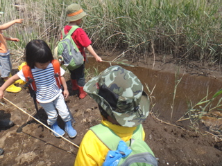 5月1,2週 みてみての輪_e0256851_0503493.jpg