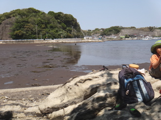 5月1,2週 みてみての輪_e0256851_114888.jpg