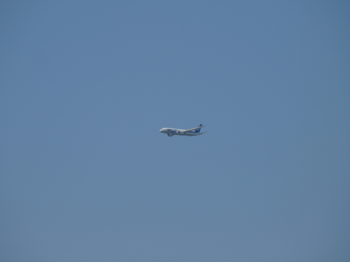 b0258965_2013127.jpg