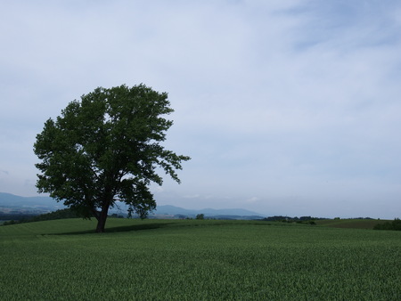 b0106766_17511944.jpg
