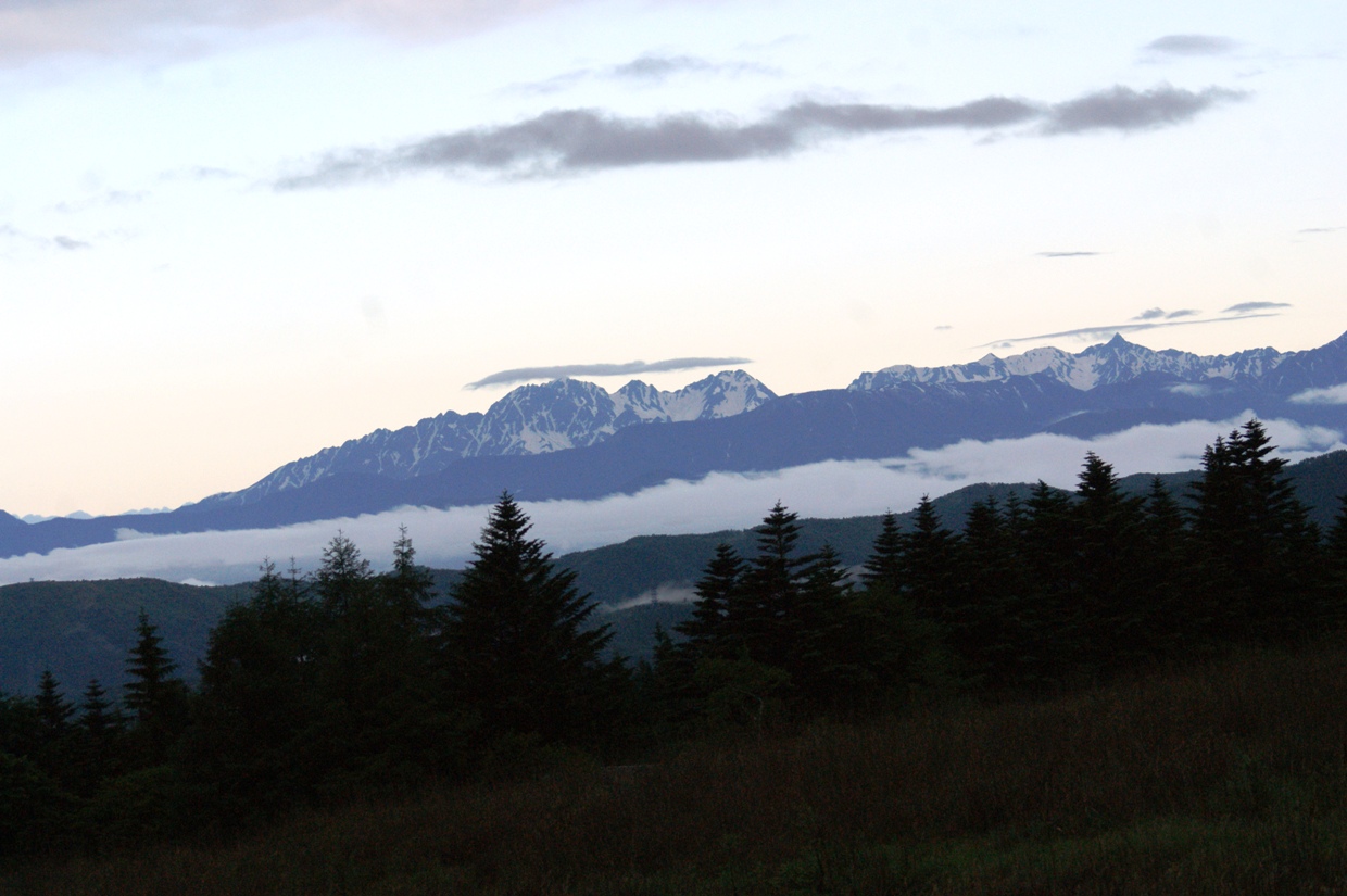 a0053771_1117647.jpg