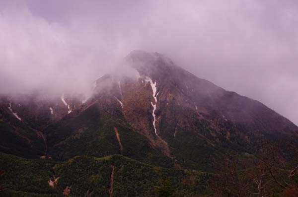 八ヶ岳に咲くツクモグサ_e0167571_2344177.jpg