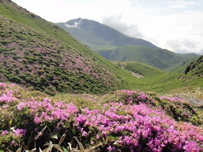 初の「三俣山」（大分県九重町）_d0182075_4245453.jpg