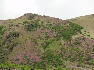 初の「三俣山」（大分県九重町）_d0182075_441197.jpg