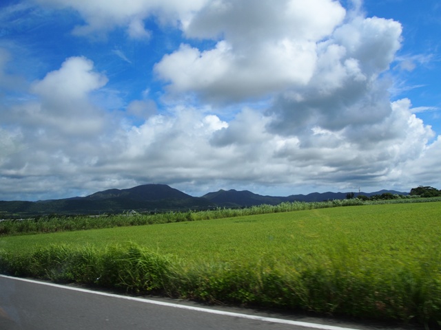 a0139977_22403119.jpg