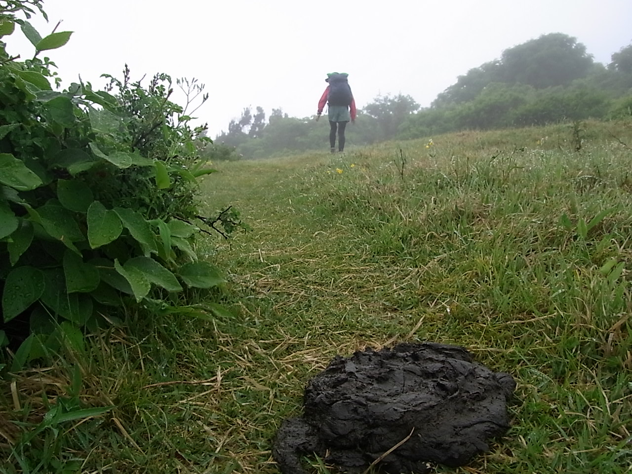 2013.6.15-16 佐渡島縦断トレイル day1_b0219778_20485314.jpg