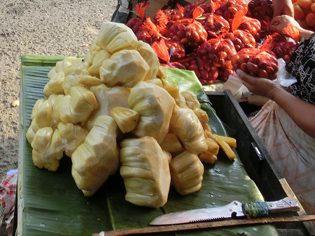 d0061380_08596.jpg