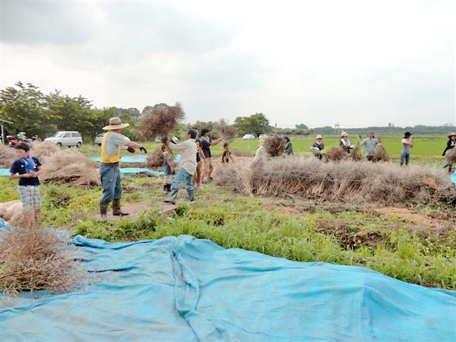 c0145581_604212.jpg