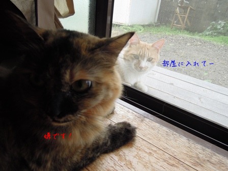 素焼きの窯詰め_d0195183_264085.jpg