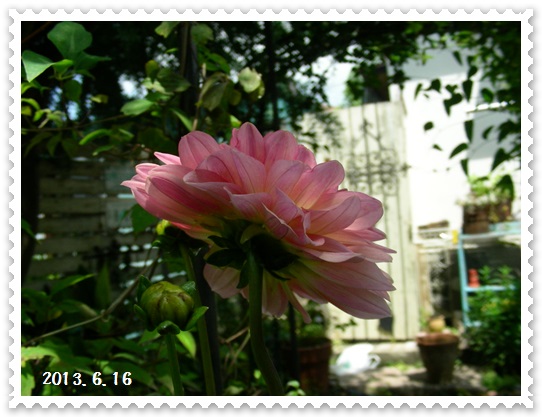b0096584_213410100.jpg