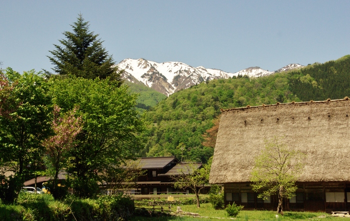 白川郷（世界遺産登録）ぶらり散策　4_b0093088_11233421.jpg