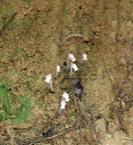 a0289700_20572412.jpg