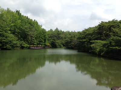 a0289700_2058222.jpg