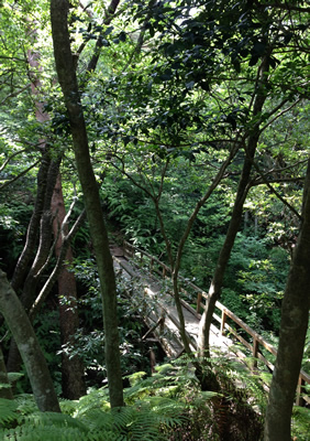 a0289700_2059283.jpg