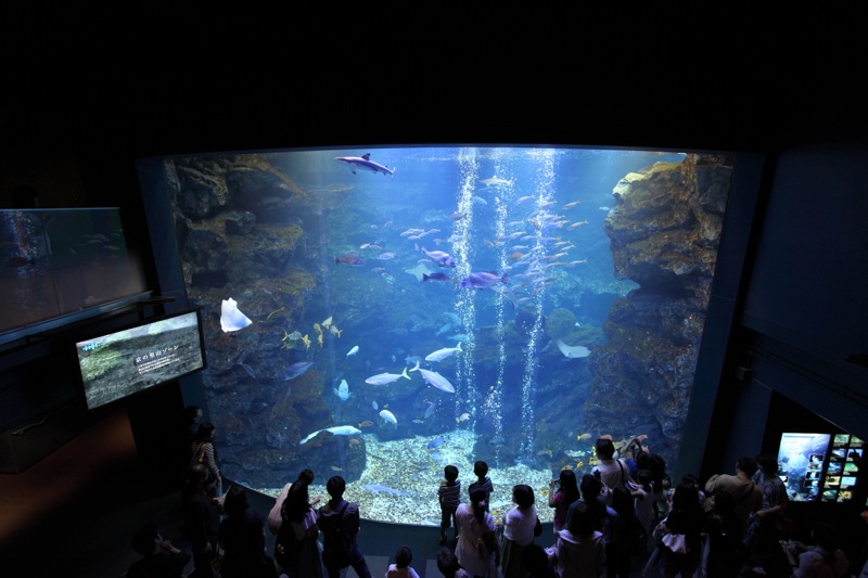 京都水族館_a0127512_22513387.jpg