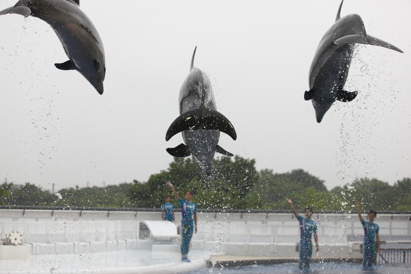 京都水族館_a0127512_2258975.jpg