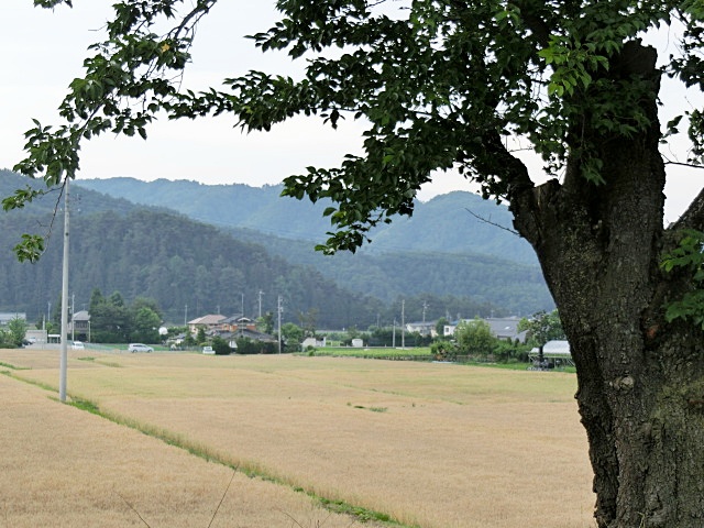 e0234924_8595087.jpg