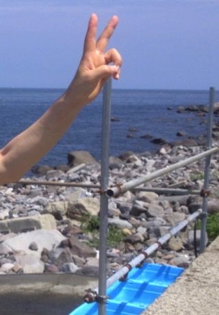 f0229926_8264376.jpg