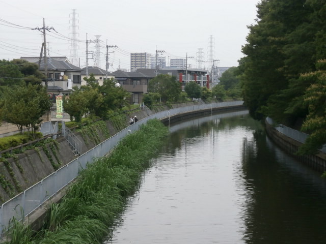 八潮市垳川界隈より。_a0214329_19313162.jpg