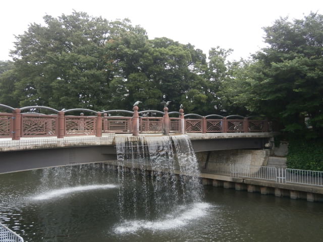 八潮市垳川界隈より。_a0214329_19335977.jpg