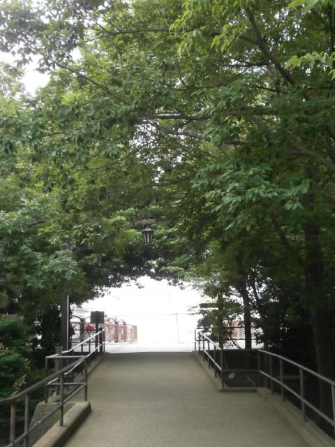 八潮市垳川界隈より。_a0214329_19404061.jpg