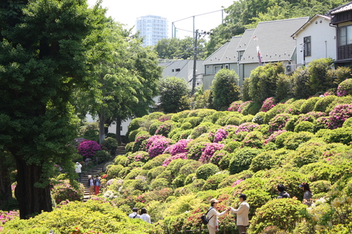 日本庭園。_a0214329_7265043.jpg