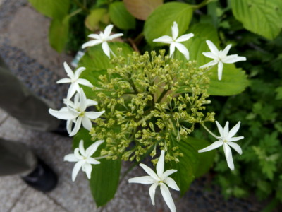 c0097838_1435298.jpg