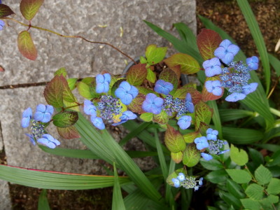 c0097838_15184765.jpg