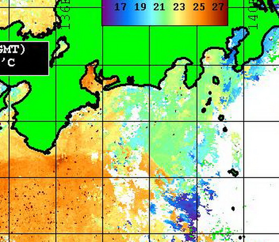 黒潮の様子は・・・・【カジキ・マグロトローリング】_f0009039_1740374.jpg