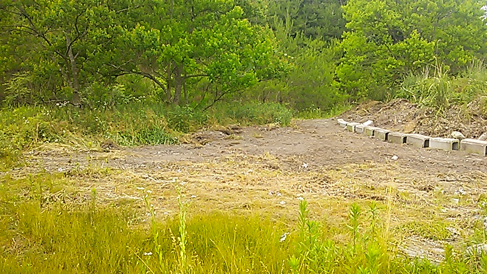 e0145441_20465256.jpg
