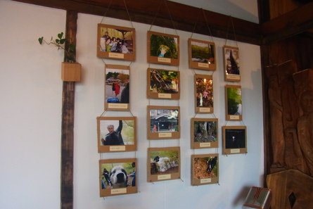 SALE & 写真展_b0207642_17584389.jpg
