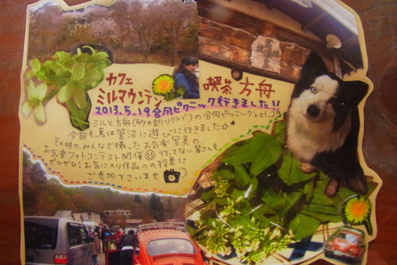 SALE & 写真展_b0207642_1853231.jpg