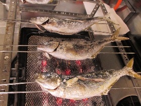 【下田沖 横根でタカベをゲット!】_e0093046_18544777.jpg