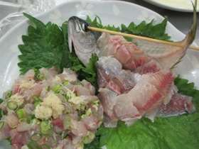 【下田沖 横根でタカベをゲット!】_e0093046_1855671.jpg