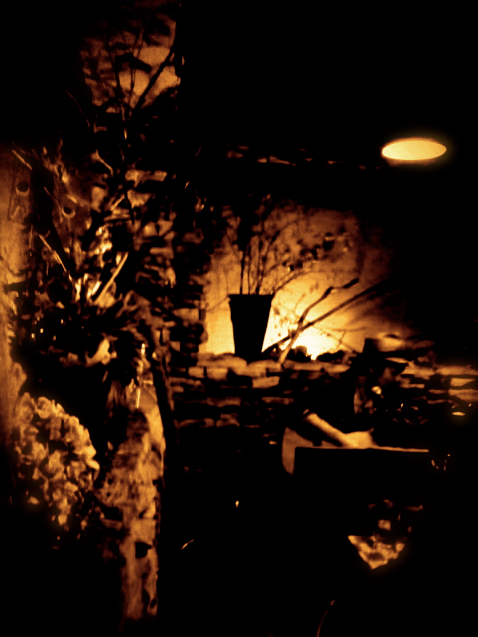 a0229147_02386.jpg
