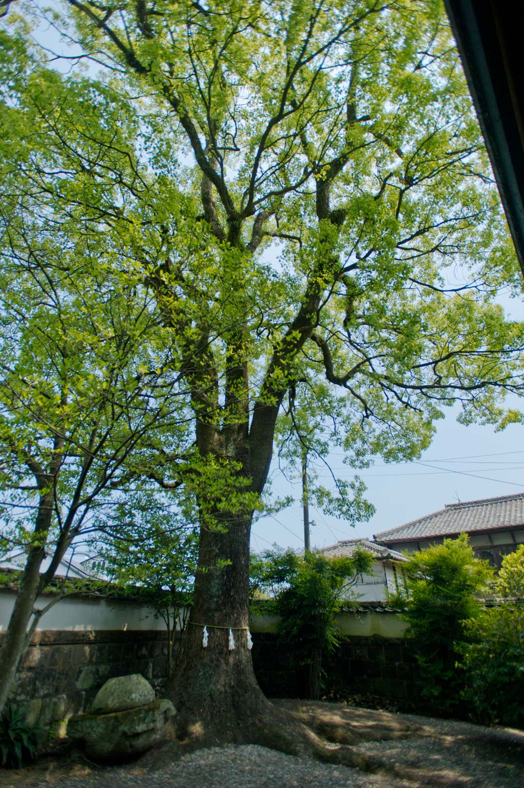 ◆八坂神社　１　大分県臼杵市_b0023047_549523.jpg