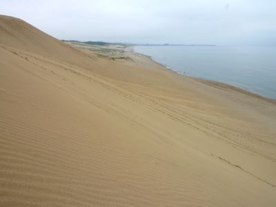b0220251_53429.jpg