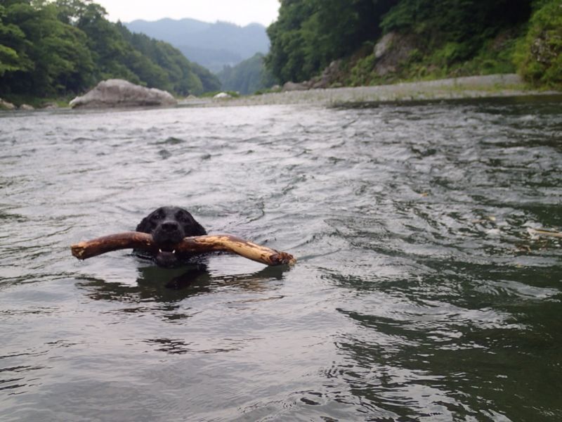 水泳部発足！入部するひと_f0217153_22403031.jpg