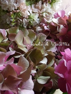 秋色アジサイの 花園へ Petit Jardin 秋色アジサイの 花園へ Petit Jardin