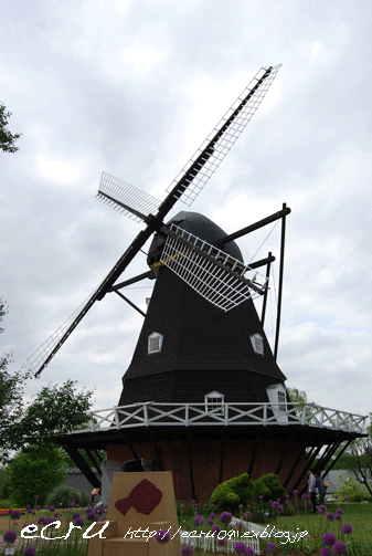 d0113758_21433552.gif